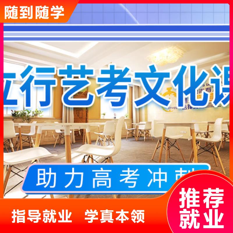 艺考文化课培训高中一对一辅导老师专业
