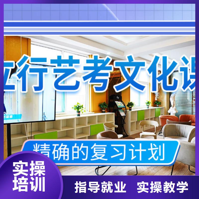 艺考文化课培训高中一对一辅导老师专业