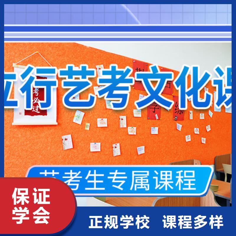 艺考文化课培训高中一对一辅导老师专业