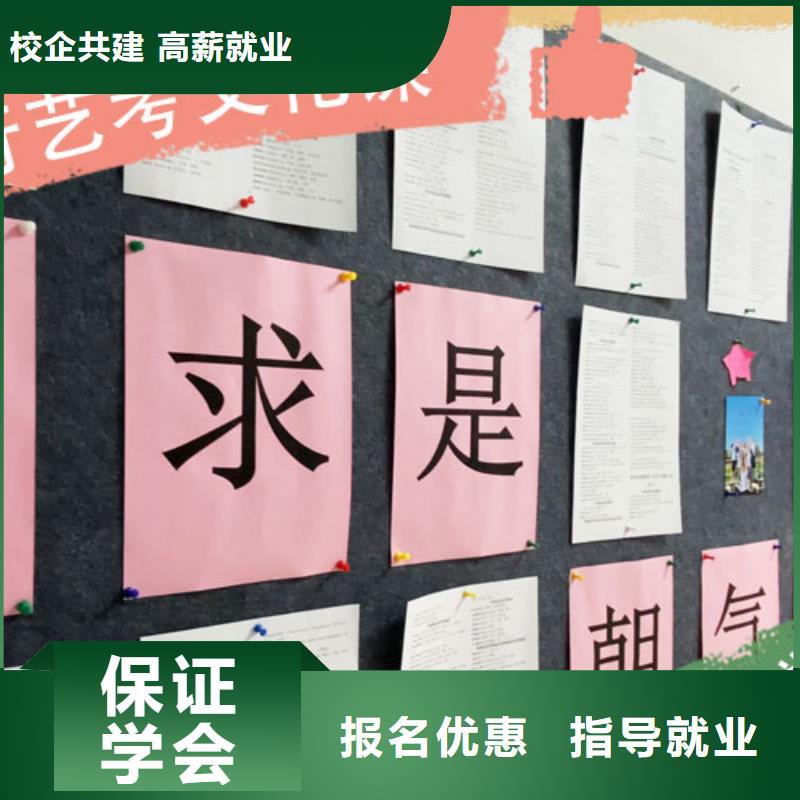 艺考文化课培训高三复读辅导学真技术