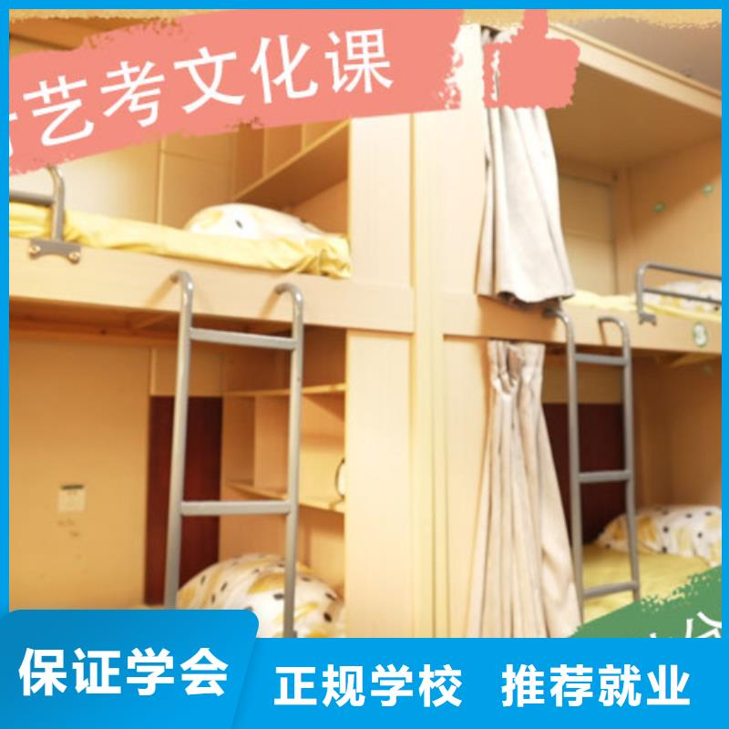 艺考文化课培训【高考小班教学】技能+学历
