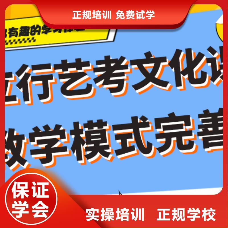 艺考文化课培训高三复读辅导学真技术