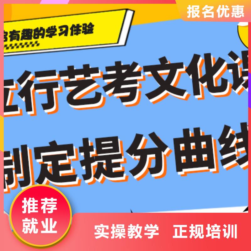 艺考文化课培训高三复读辅导学真技术