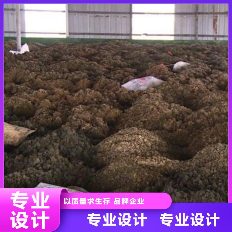  含铜泥价格合理