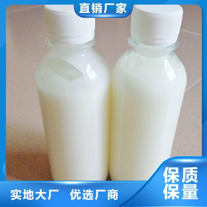 消泡剂_复合碳源专注细节专注品质
