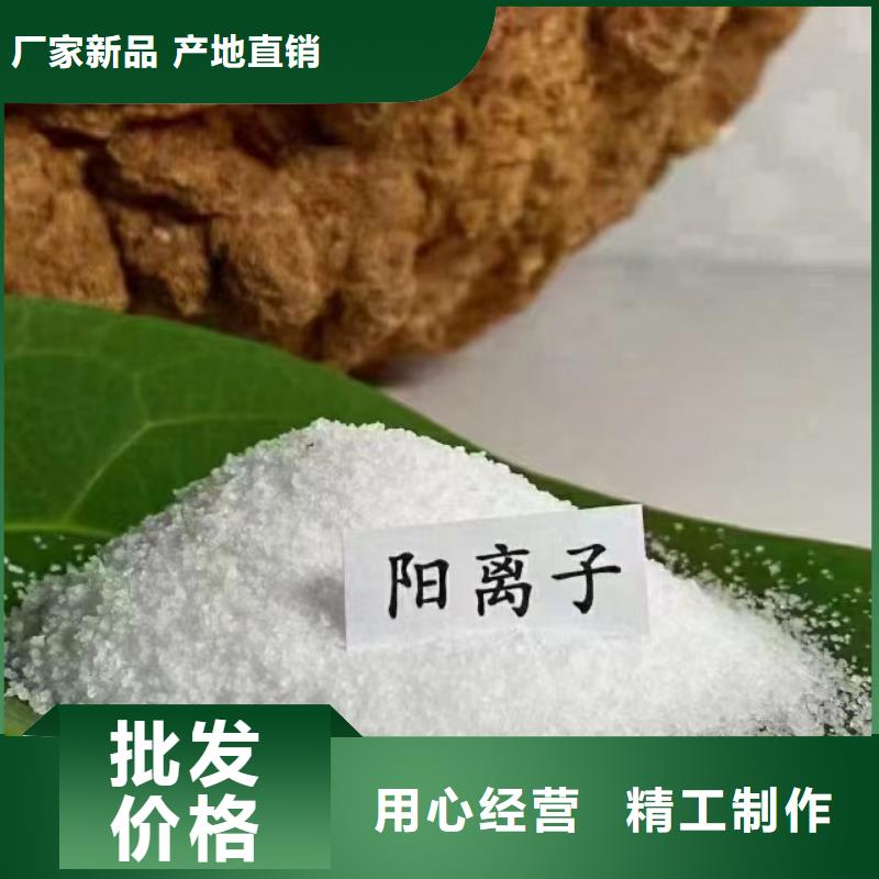 聚丙烯酰胺多种工艺