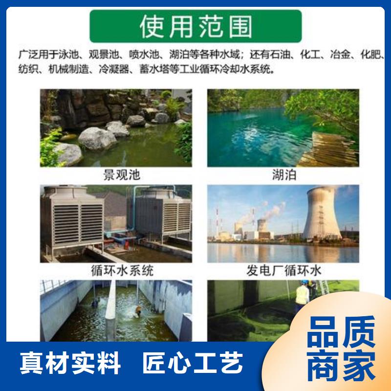 【杀菌灭藻剂-液体聚铁今日新品】