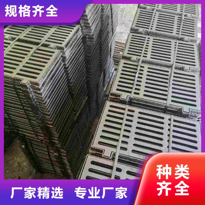 双篦子球墨铸铁源头厂家建通铸造厂家