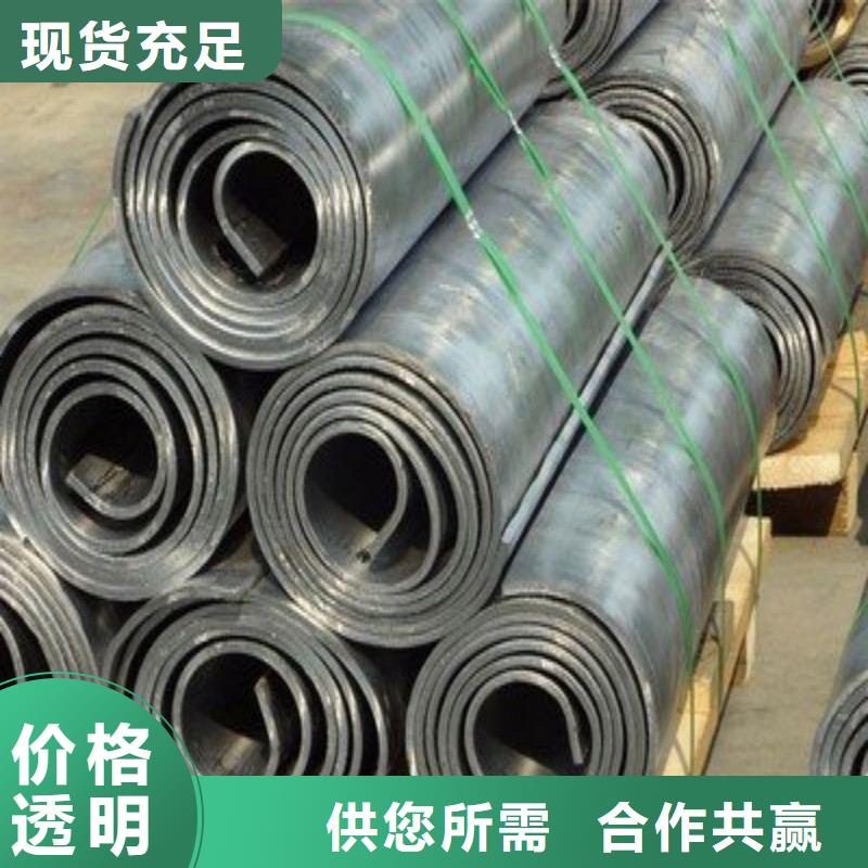 医用防护门生产厂家