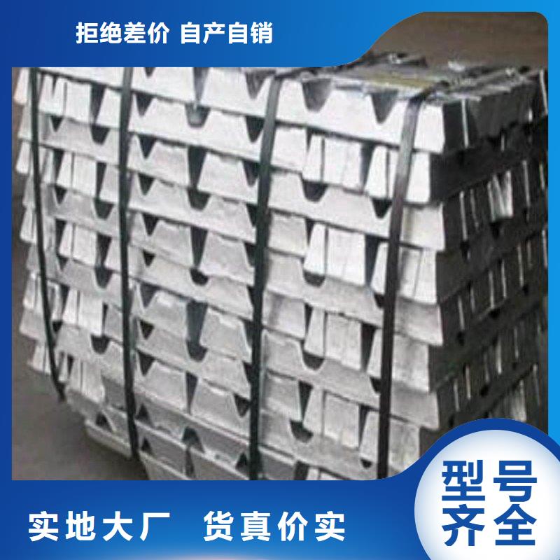 铅丝厂家-欢迎新老客户来电咨询