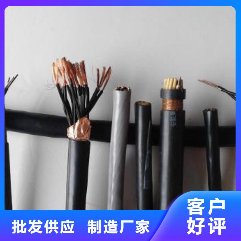 电线电缆-PTYA23电缆放心购