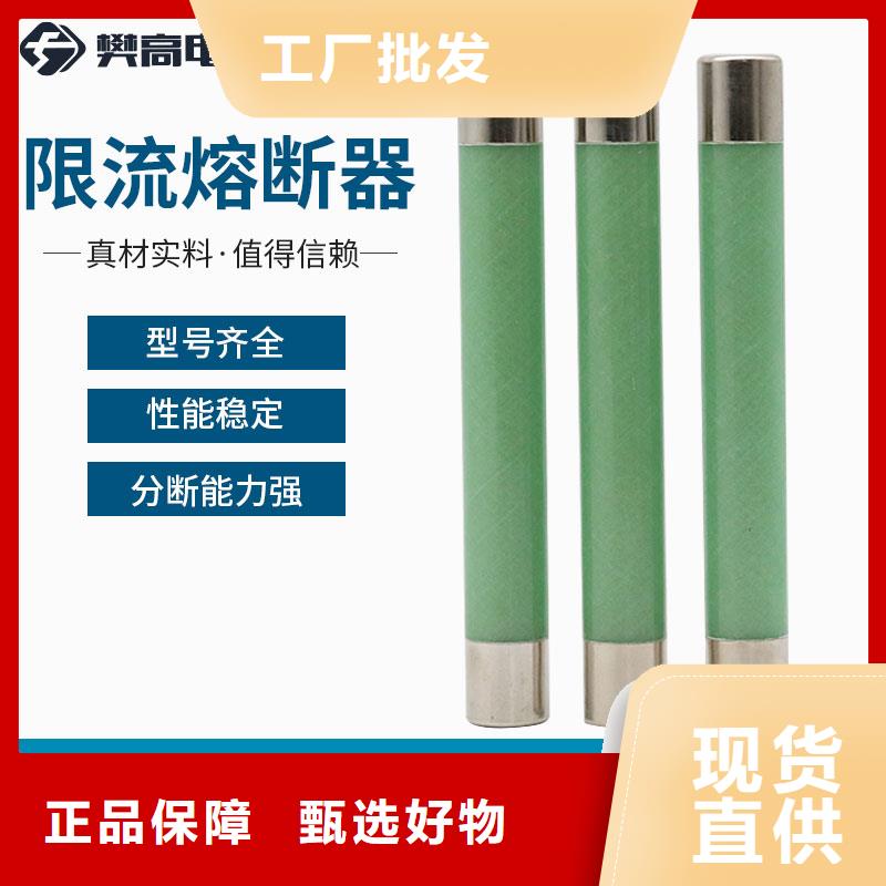 HRW9-35/0.5A高压限流熔断器