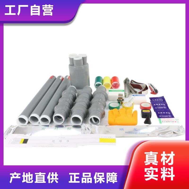 高安|袁州|赣州|九江|景德镇|上饶|吉安|南昌电缆附件真空断路器有口皆碑厂家