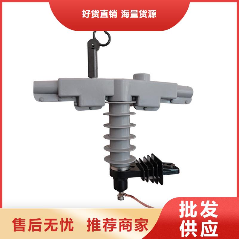 【避雷器】-高低压电器诚信经营-市场覆盖|阳东|阳春|湛江|韶关|汕尾|江门|汕头-通金宝