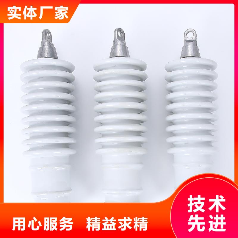 【避雷器】_高低压电器细节之处更加用心-服务范围包括新邱|彰武|抚顺|沈阳|本溪|朝阳|盘锦|大连等