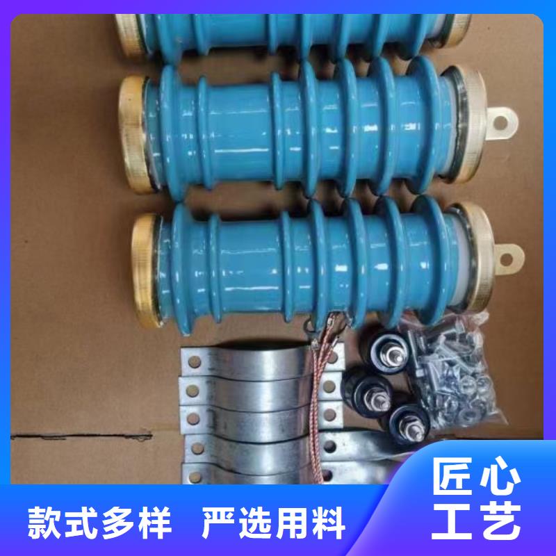 {欢迎来电咨询}供应商【避雷器】-高低压电器诚信经营_通金宝