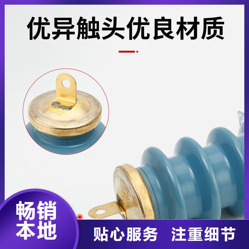 YH10W5-96/250GY高压金属氧化物避雷器