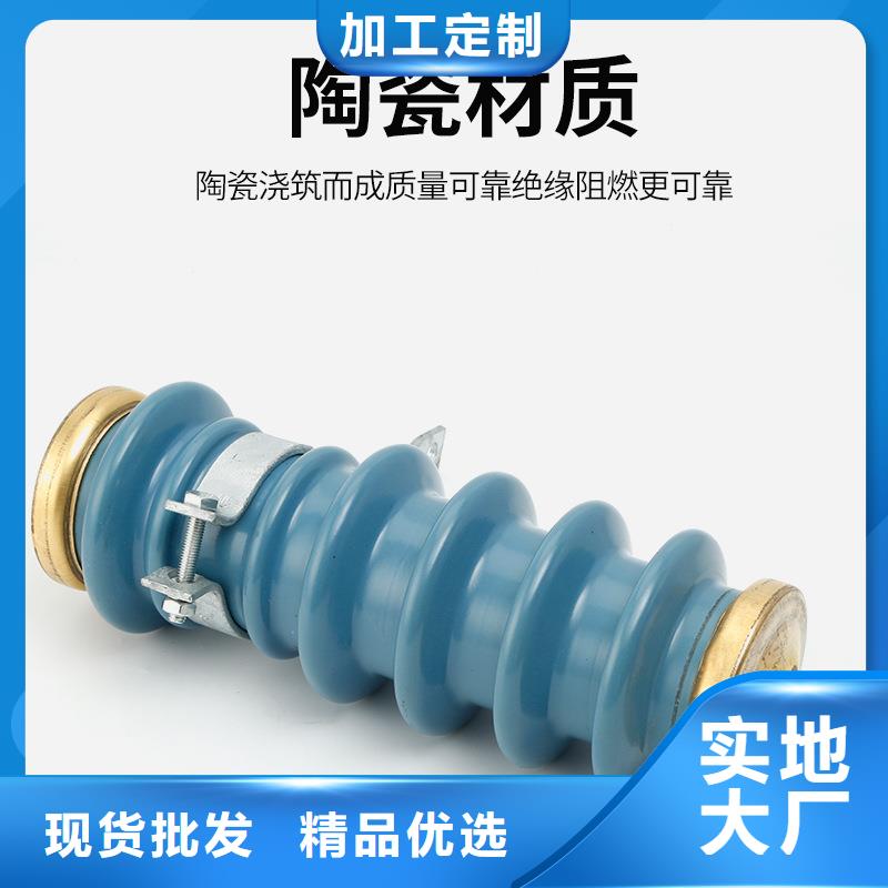 【避雷器】_高低压电器细节之处更加用心-服务范围包括新邱|彰武|抚顺|沈阳|本溪|朝阳|盘锦|大连等