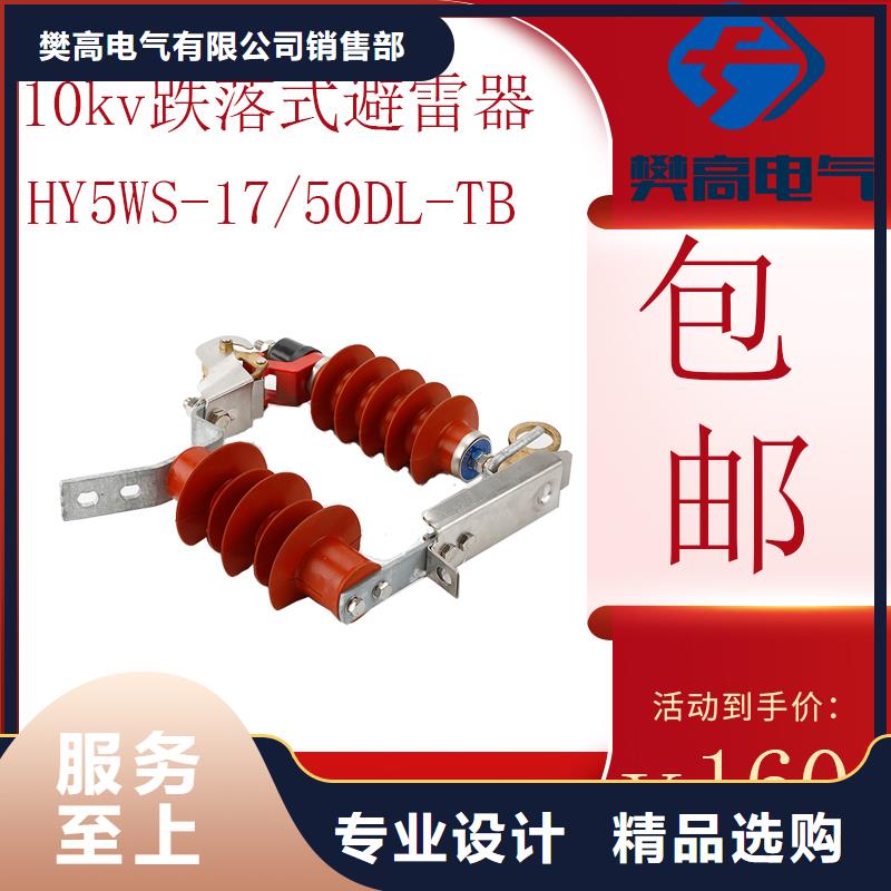 避雷器氧化锌避雷器出厂严格质检|限流熔断器-樊高电气销售部(安庆市分公司)