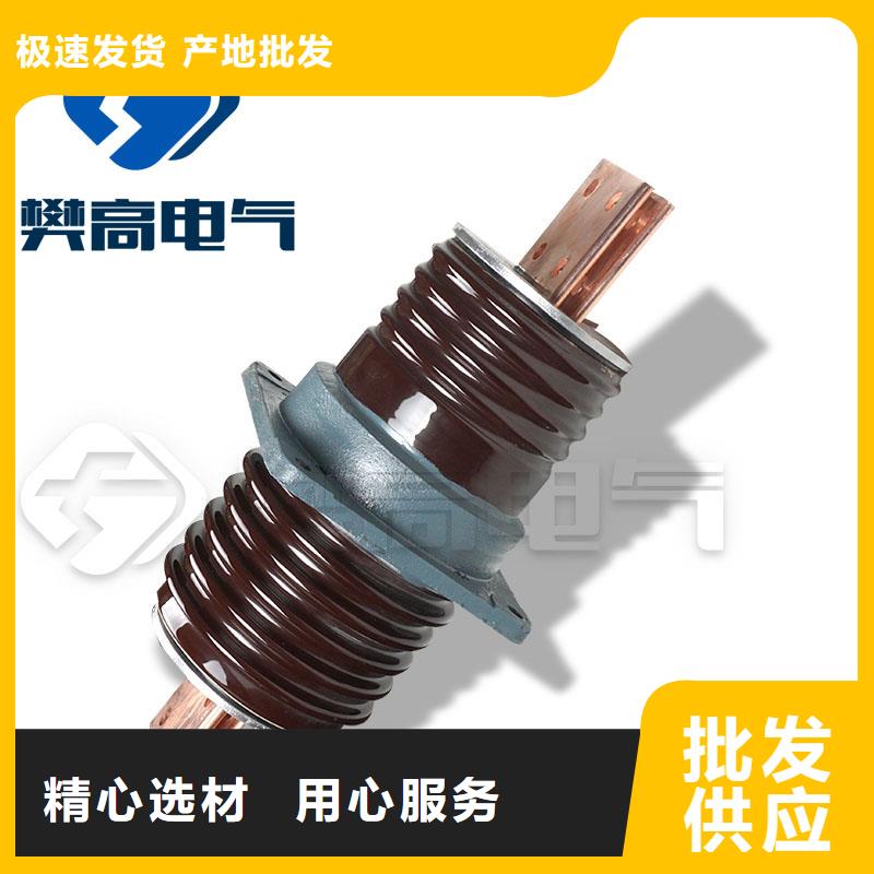樊高限流熔断器穿墙套管-【绝缘子】每一处都是匠心制作通金宝