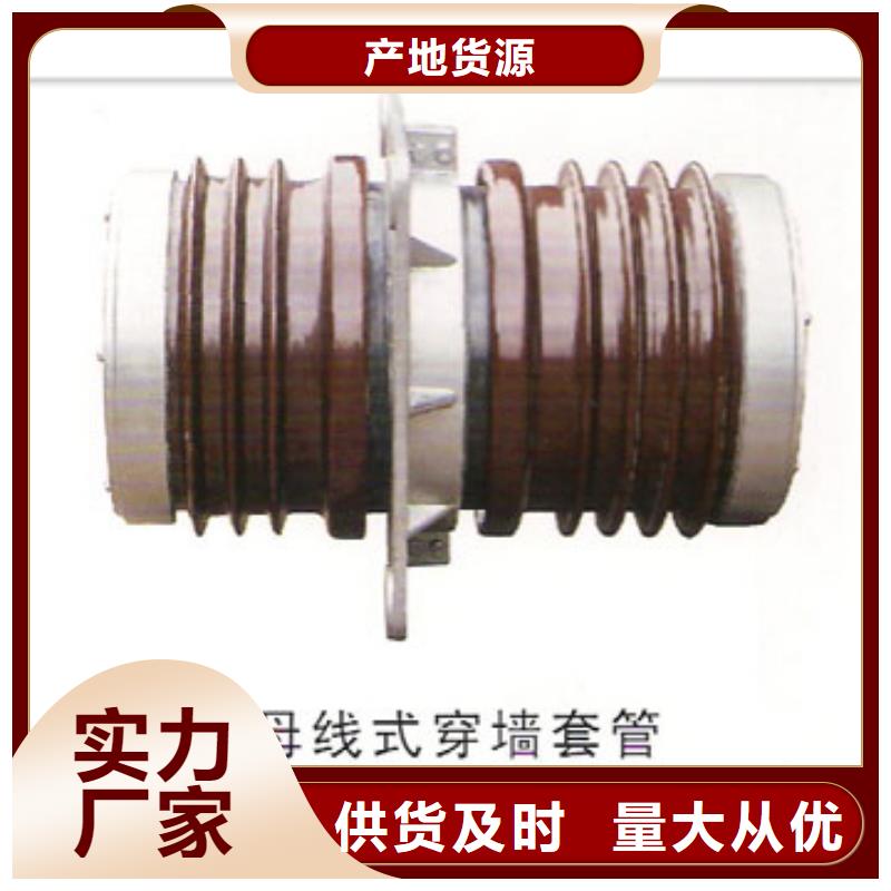 樊高限流熔断器穿墙套管-【绝缘子】每一处都是匠心制作通金宝