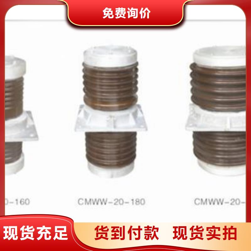 限流熔断器樊高【穿墙套管 高低压电器厂家工艺先进】