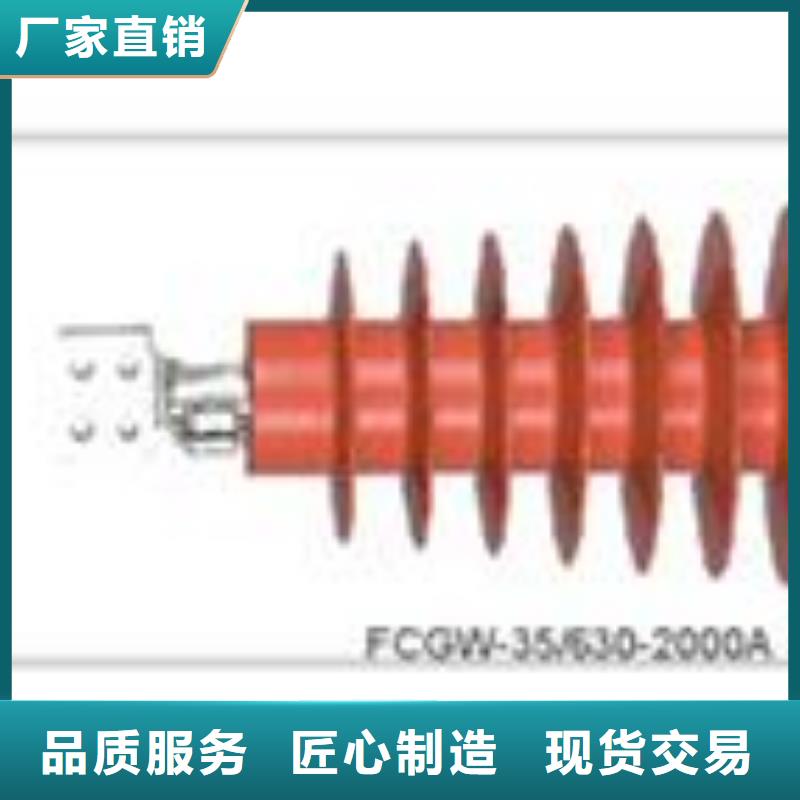 限流熔断器樊高穿墙套管-【绝缘子】懂您所需