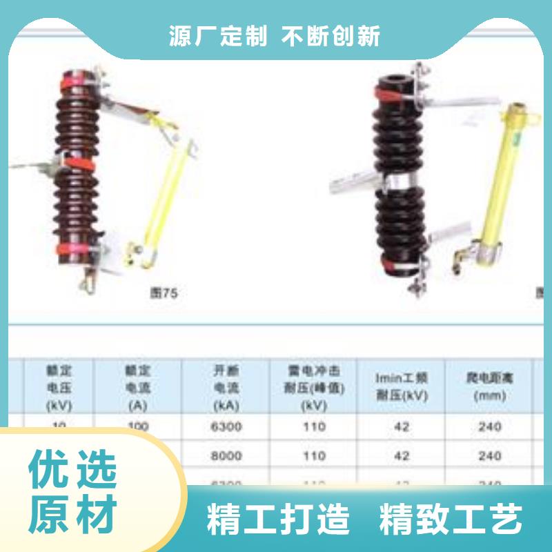 XRNM1-12/224A高压熔管昌江县厂家