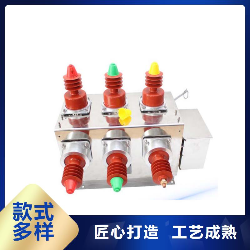 樊高限流熔断器真空断路器本地配送gdsgd.com