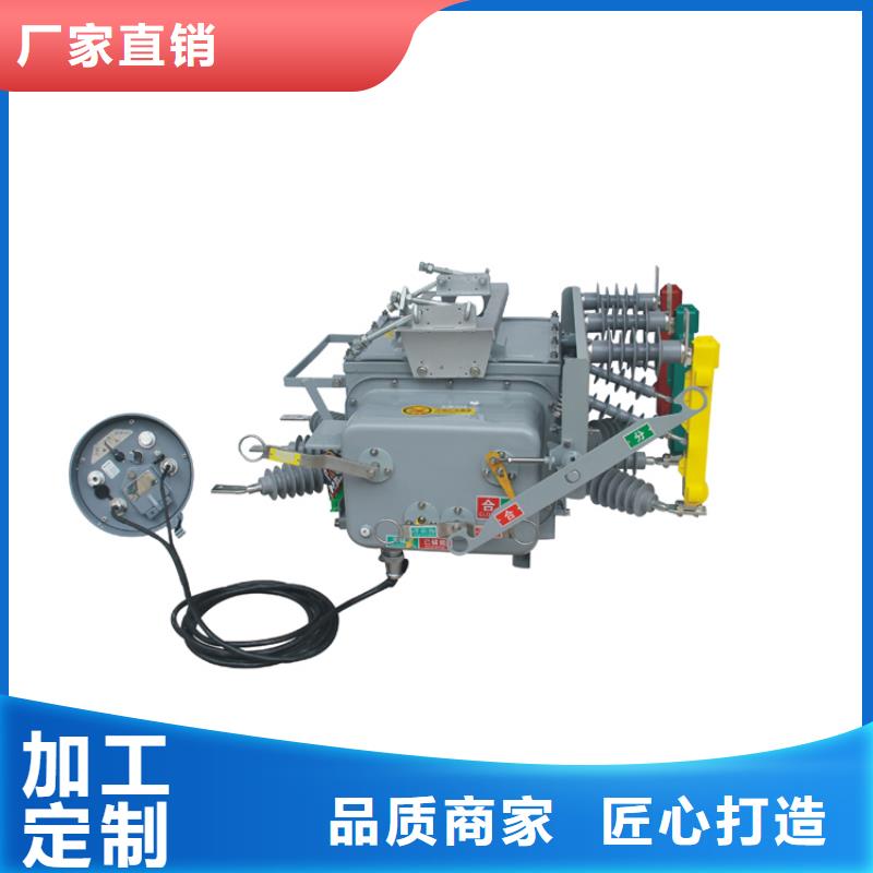 LW38-72.5/3150-31.5六氟化硫断路器