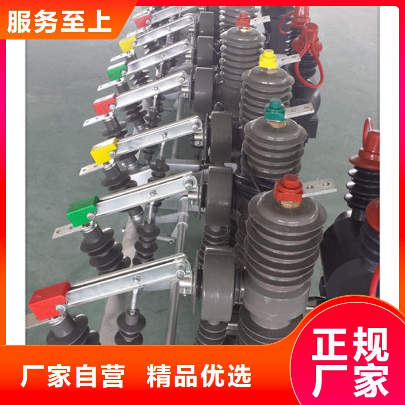 真空断路器-【绝缘子】价格低樊高限流熔断器
