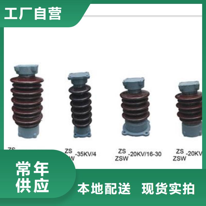 樊高限流熔断器绝缘子_【真空断路器】满足多种行业需求