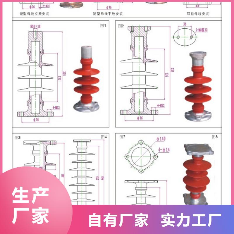 |榕城|揭西|河源|江门|云浮|梅州樊高绝缘子 【电缆附件】的图文介绍