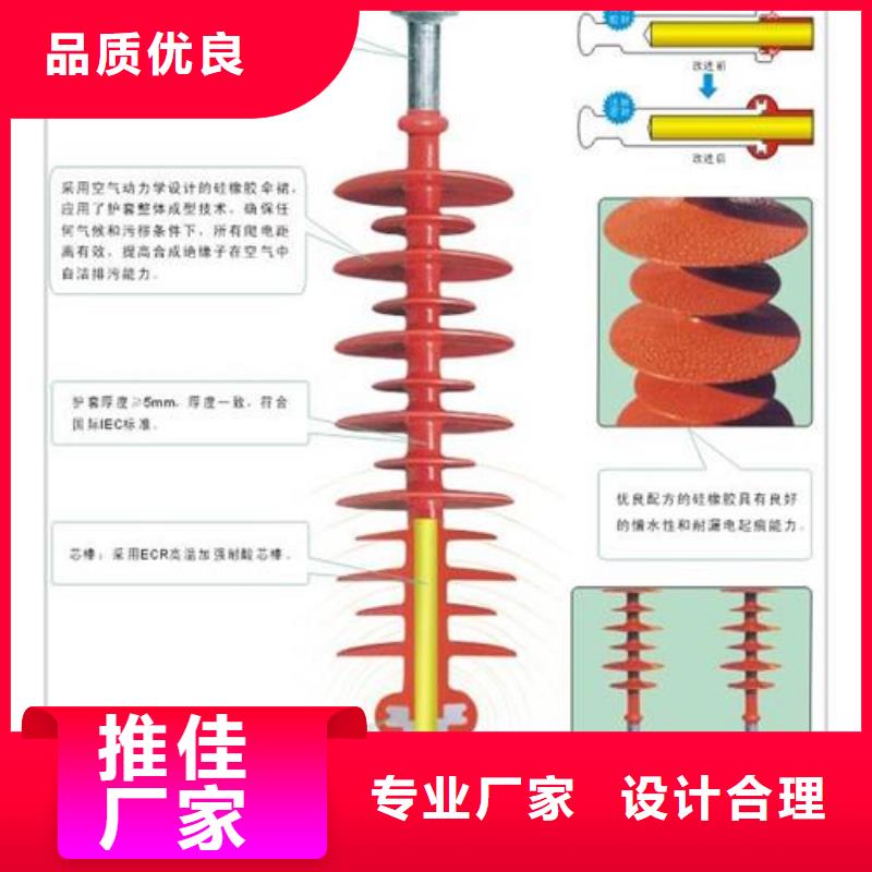 |榕城|揭西|河源|江门|云浮|梅州樊高绝缘子 【电缆附件】的图文介绍