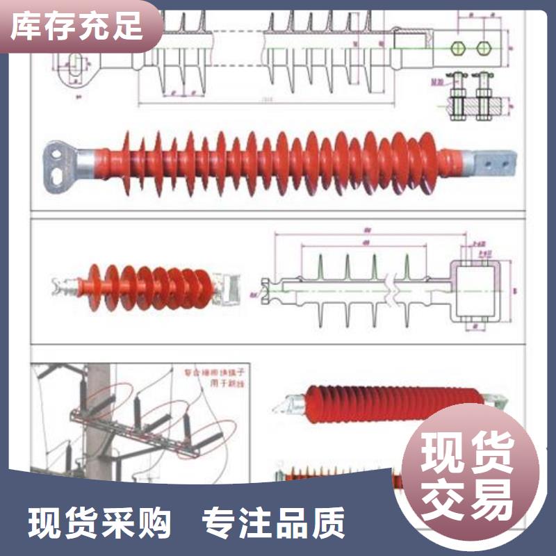 讲信誉保质量绝缘子-【电缆附件】精心