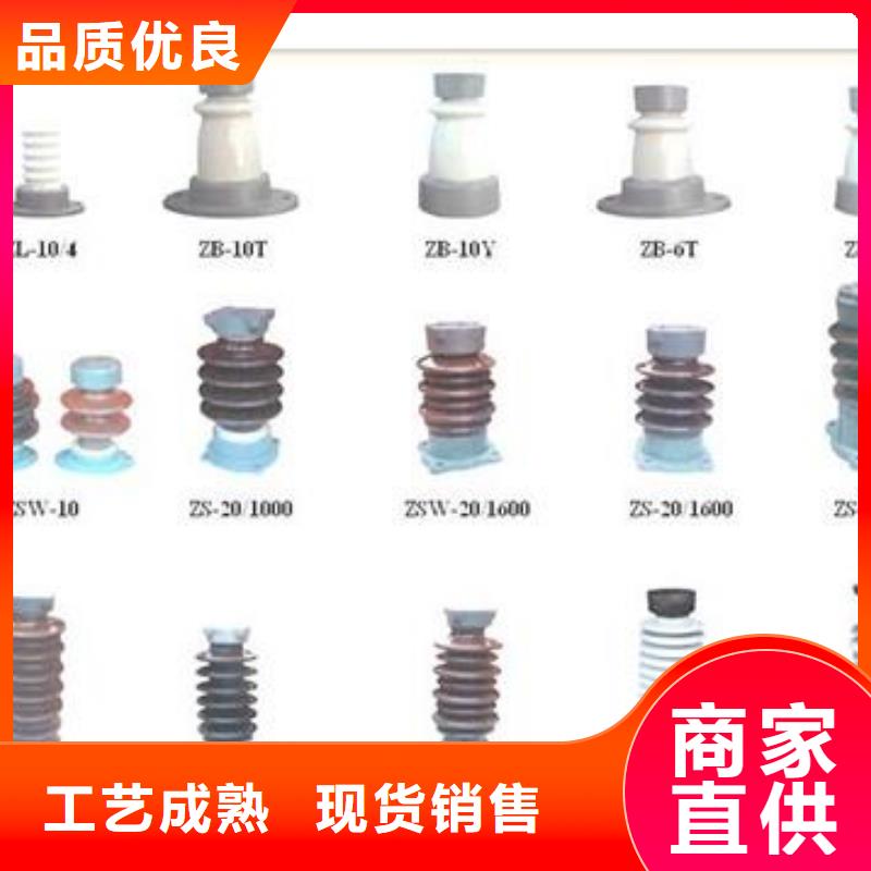 樊高【绝缘子】限流熔断器专业的生产厂家-业务覆盖区域|句容|扬中|南京|扬州|南通|苏州|常州|宿迁|徐州-通金宝