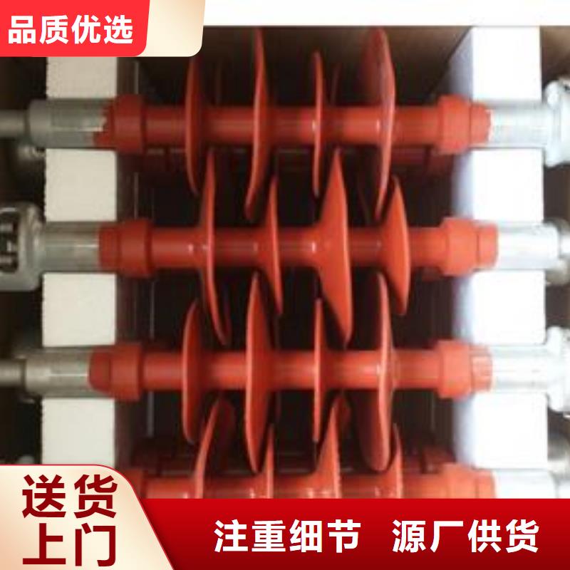 樊高【绝缘子】限流熔断器专业的生产厂家-业务覆盖区域|句容|扬中|南京|扬州|南通|苏州|常州|宿迁|徐州-通金宝