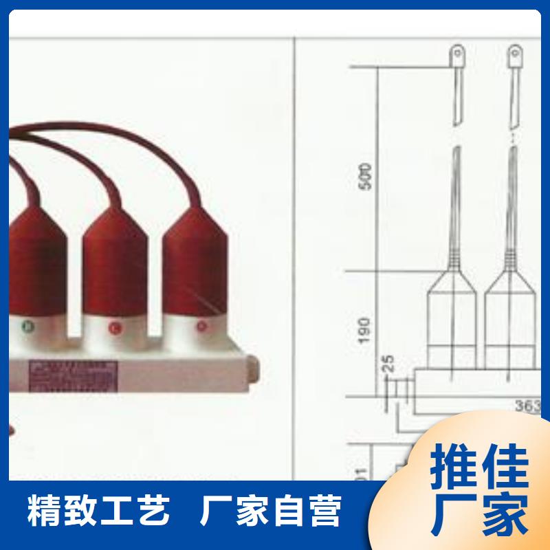 限流熔断器视频-福建省三明市|三元|建宁|莆田|福州|漳州|泉州限流熔断器-樊高