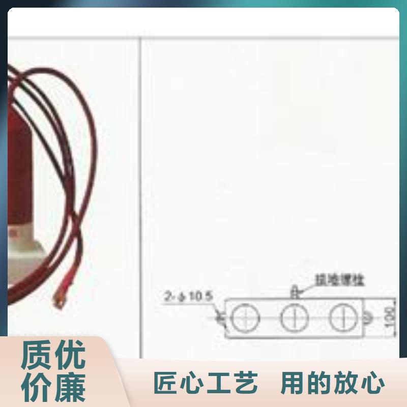 子长|宝塔|汉中|商洛|宝鸡|安康|铜川|西安|榆林【过电压保护器-真空断路器重信誉厂家】-樊高