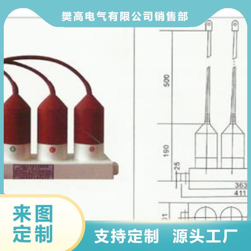 【过电压保护器】,真空断路器匠心制造|限流熔断器-樊高电气销售部(楚雄市分公司)