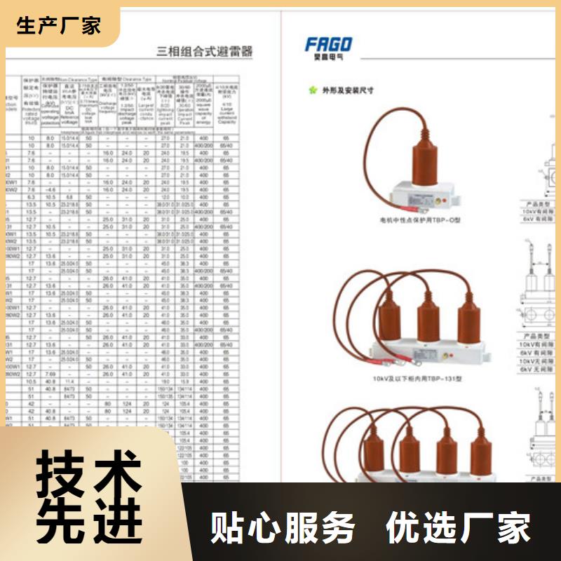 【过电压保护器】,真空断路器匠心制造|限流熔断器-樊高电气销售部(楚雄市分公司)