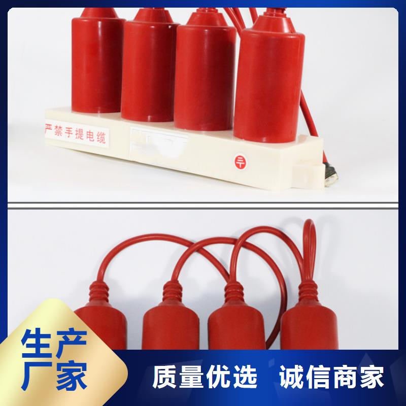 【过电压保护器】-高压开关柜用心做品质-可发货到沿滩|荣县|阿坝|凉山|宜宾|内江