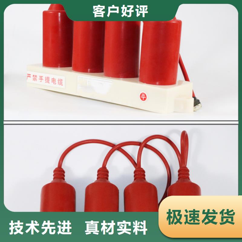 子长|宝塔|汉中|商洛|宝鸡|安康|铜川|西安|榆林【过电压保护器-真空断路器重信誉厂家】-樊高