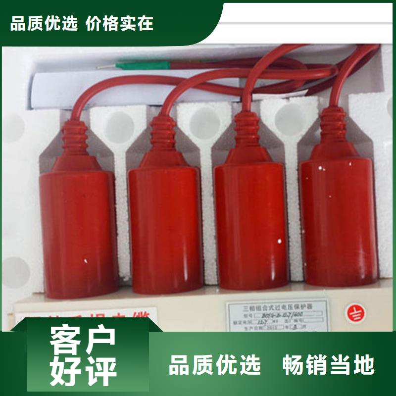 【过电压保护器 固定金具款式多样】-樊高电气销售部(娄底市分公司)