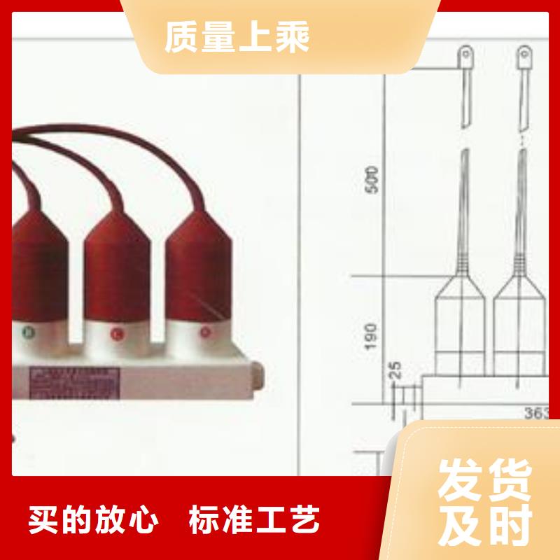 限流熔断器樊高过电压保护器【固定金具】联系厂家
