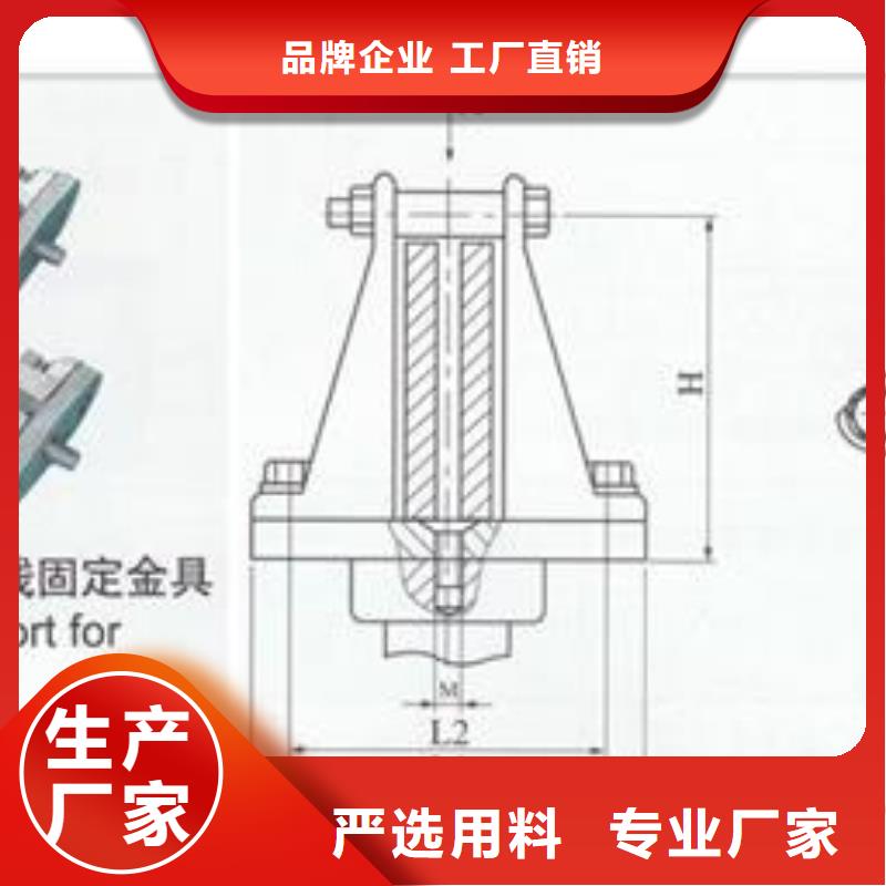 TMY-20*3母线樊高