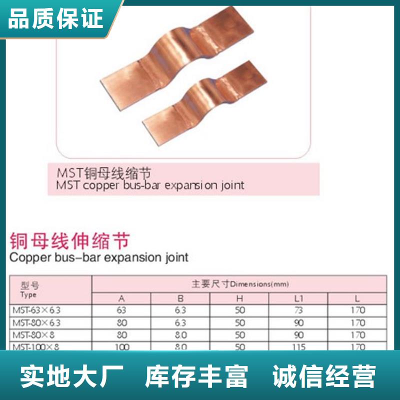 樊高母线金具高压开关柜加工定制-限流熔断器