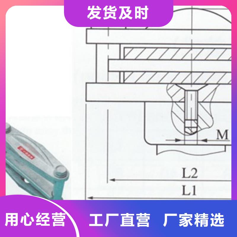 母线金具限流熔断器工厂直供
