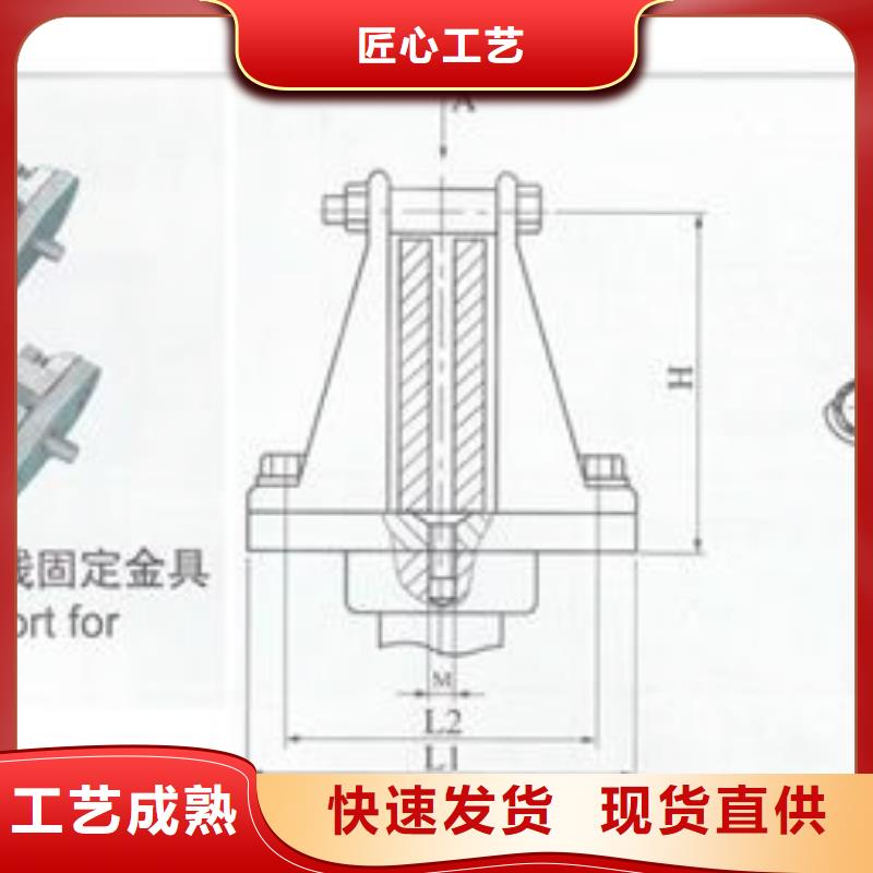 樊高限流熔断器【母线金具,高压开关柜现货交易】gdsgd.com