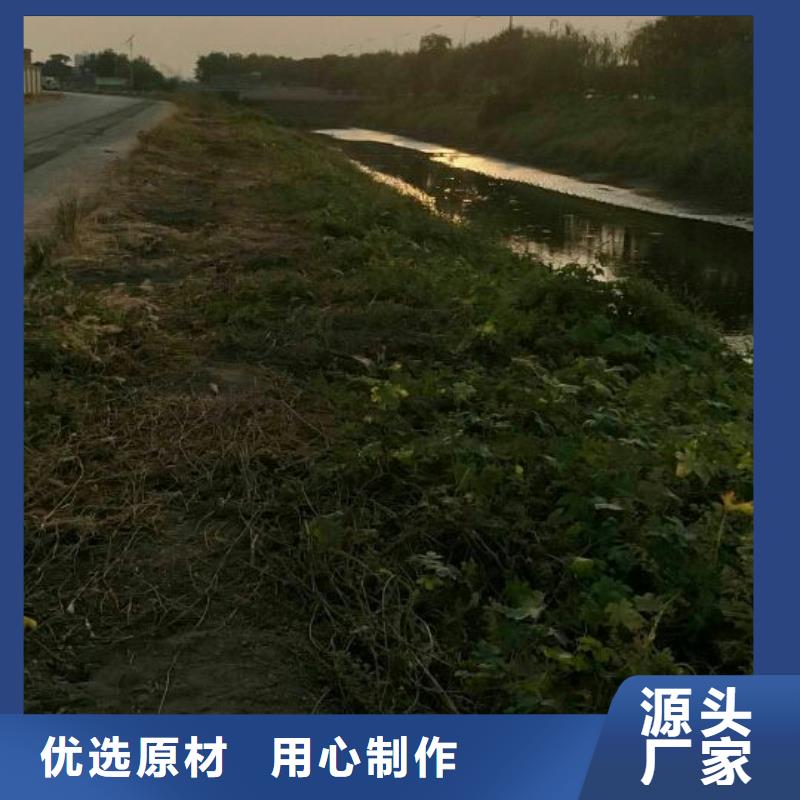 污泥处理生态沙土抑尘剂全品类现货